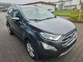 Ford EcoSport Titanium Klima Navi PDC SHZ R-Kamera Gris - thumbnail 7