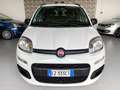 Fiat Panda Panda 0.9 85CV TwinAir Turbo Benz/Metano Blanc - thumbnail 2
