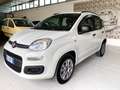Fiat Panda Panda 0.9 85CV TwinAir Turbo Benz/Metano Blanc - thumbnail 1