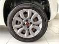 Fiat Panda Panda 0.9 85CV TwinAir Turbo Benz/Metano Blanc - thumbnail 7