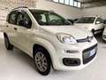 Fiat Panda Panda 0.9 85CV TwinAir Turbo Benz/Metano Blanc - thumbnail 3