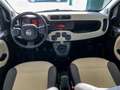 Fiat Panda Panda 0.9 85CV TwinAir Turbo Benz/Metano Blanc - thumbnail 15