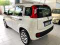 Fiat Panda Panda 0.9 85CV TwinAir Turbo Benz/Metano Blanc - thumbnail 6