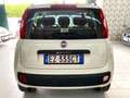 Fiat Panda Panda 0.9 85CV TwinAir Turbo Benz/Metano Blanc - thumbnail 5