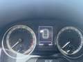 Skoda Fabia Combi 1.4 TDI Ambition - thumbnail 9