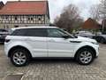 Land Rover Range Rover Evoque Dynamic SE *Navi*Leder*Xenon* Blanc - thumbnail 8