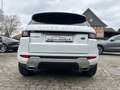 Land Rover Range Rover Evoque Dynamic SE *Navi*Leder*Xenon* Blanc - thumbnail 14