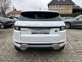 Land Rover Range Rover Evoque Dynamic SE *Navi*Leder*Xenon* Blanc - thumbnail 6