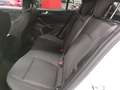 Ford Focus 1.0 Hybrid 155cv 5p ST-Line X + Car Play "SUPER P Bianco - thumbnail 13