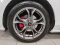 Ford Focus 1.0 Hybrid 155cv 5p ST-Line X + Car Play "SUPER P Bianco - thumbnail 9