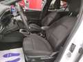 Ford Focus 1.0 Hybrid 155cv 5p ST-Line X + Car Play "SUPER P Bianco - thumbnail 12
