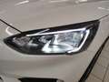 Ford Focus 1.0 Hybrid 155cv 5p ST-Line X + Car Play "SUPER P Bianco - thumbnail 7