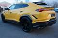 Lamborghini Urus 4.0 V8 Performante*Voll Carbon*Alcantara* Gelb - thumbnail 7