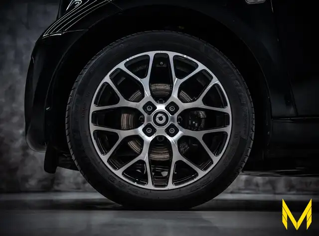 Smart Fortwo view 10
