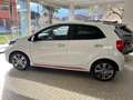 Kia Picanto 1.0 TGDi 12V 5 porte GT Line Bianco - thumbnail 6