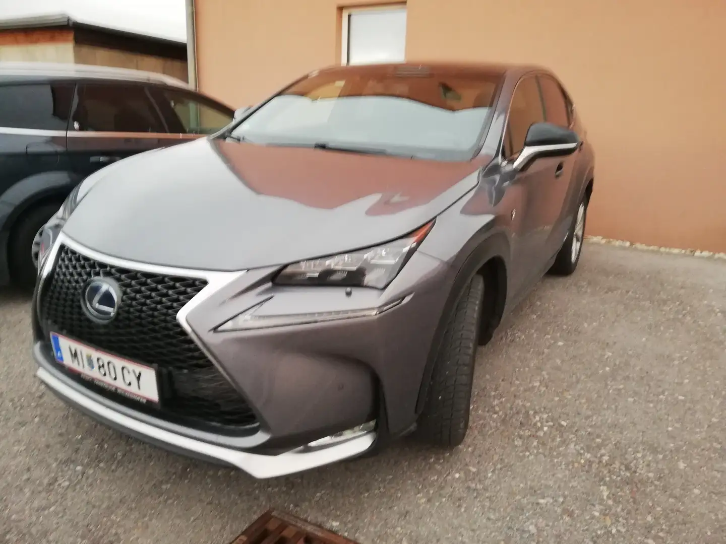 Lexus NX 300h NX 300h F Sport Hybrid Aut. F Sport Šedá - 1