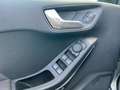 Ford Fiesta ST-Line Hybrid/Aut./Winter-P./Klimaaut./4 J.Gar Grau - thumbnail 17