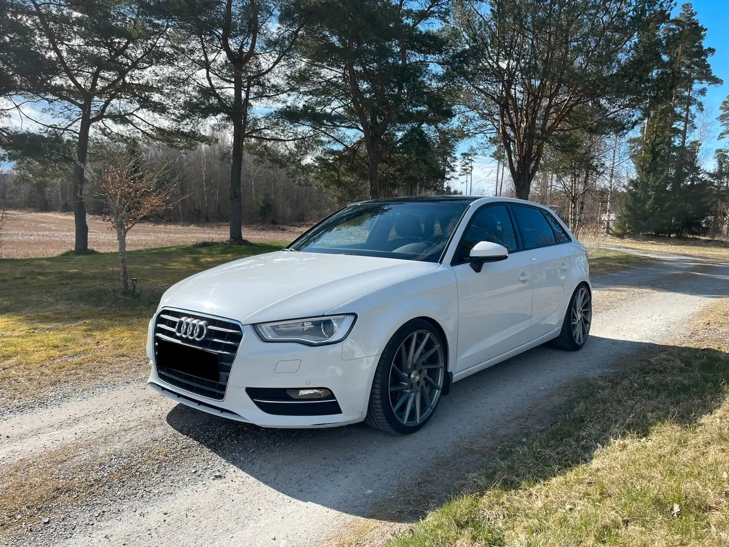 Audi A3 A3 5p 1.6 Ambiente Bianco - 2