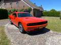 Dodge Challenger R/T -LEER-STOELVER-20"-376 PK- Pomarańczowy - thumbnail 7