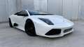 Lamborghini Murciélago Deportivo Automático de 2 Puertas Blanco - thumbnail 1