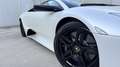 Lamborghini Murciélago Deportivo Automático de 2 Puertas Blanco - thumbnail 10