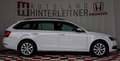 Skoda Octavia Combi 2,0 TDI DSG KAMERA AHV NAVI Bianco - thumbnail 7
