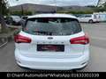 Ford Focus Turnier Trend Weiß - thumbnail 8