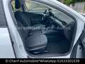 Ford Focus Turnier Trend Weiß - thumbnail 10