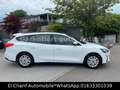 Ford Focus Turnier Trend Weiß - thumbnail 4
