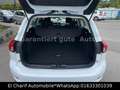 Ford Focus Turnier Trend Weiß - thumbnail 9