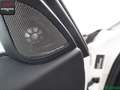 BMW 330 330 d T xDrive HARMAN/K,360GRAD,HUD,KEYLESS,ACC Biały - thumbnail 14