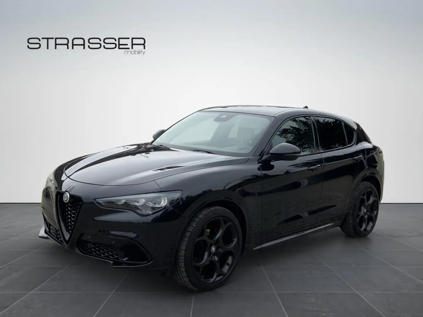 Alfa Romeo Stelvio Competizione Q4 Klima Leder Rückfahrkamera Noir - 1