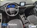 Ford Kuga Kuga 1.5 ecoblue Titanium Business 2wd 120cv auto Blu/Azzurro - thumbnail 9