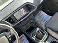 SEAT Leon FR 2,0 TDI LED Panorama Pickerl 04/2025 Negro - thumbnail 10