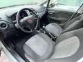 Fiat Punto Punto 5p 1.3 mjt 16v Street 75cv NEOPATENTATI Argento - thumbnail 13