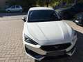 CUPRA Leon 1.5 tsi 150cv Blanc - thumbnail 3