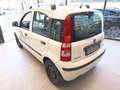 Fiat Panda 1.2 EasyPower Classic Bianco - thumbnail 4
