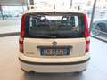 Fiat Panda 1.2 EasyPower Classic Bianco - thumbnail 3
