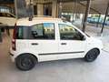 Fiat Panda 1.2 EasyPower Classic Bianco - thumbnail 6