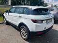 Land Rover Range Rover Evoque 5p 2.0 td4 Pure 150cv Blanc - thumbnail 4