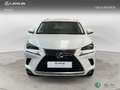 Lexus NX 350h SUV BUSINESS NAVIGATION 2WD 2.5 Híbrido Gasolina Blanco - thumbnail 5