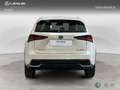 Lexus NX 350h SUV BUSINESS NAVIGATION 2WD 2.5 Híbrido Gasolina Blanco - thumbnail 4