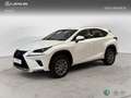Lexus NX 350h SUV BUSINESS NAVIGATION 2WD 2.5 Híbrido Gasolina Blanco - thumbnail 1