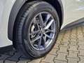 Lexus LBX 1,5 FWD Komfort Paket Weiß - thumbnail 8
