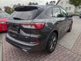 Ford Kuga 2.0 Diesel 150PS ST-LINE X LED ACC Winterpaket Grau - thumbnail 4
