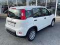 Fiat Panda 1.0 Mild Hybrid Weiß - thumbnail 7