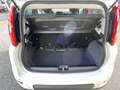 Fiat Panda 1.0 Mild Hybrid Weiß - thumbnail 9