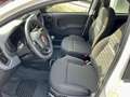 Fiat Panda 1.0 Mild Hybrid Weiß - thumbnail 5