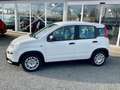 Fiat Panda 1.0 Mild Hybrid Weiß - thumbnail 2