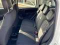 Fiat Panda 1.0 Mild Hybrid Weiß - thumbnail 6